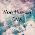 Non Human DNA