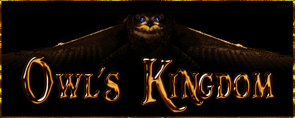 Owl's Kingdom