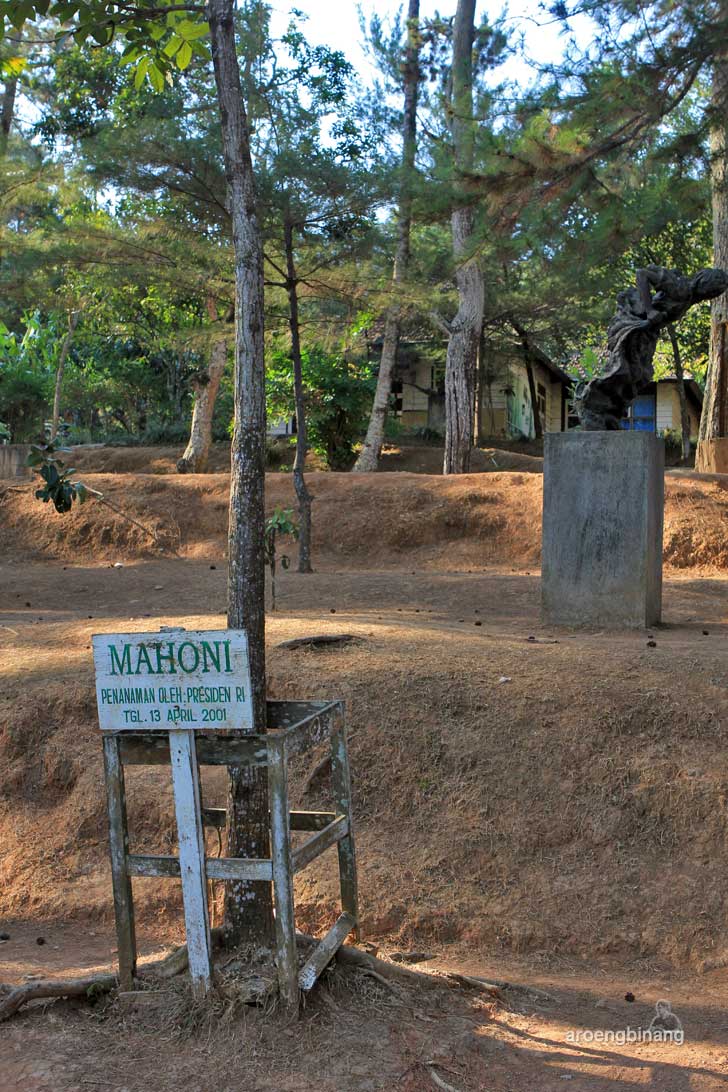 bumi perkemahan wana wisata kajar kudus