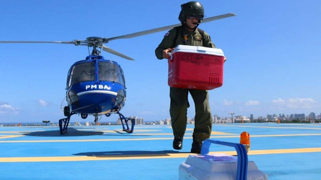 Graer transporta órgãos para transplante do interior para a capital