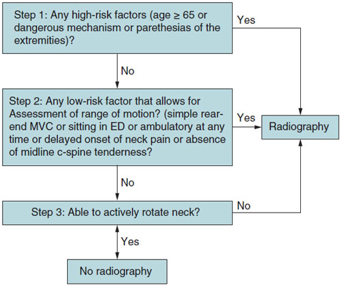 algorithm for assessing neck injury