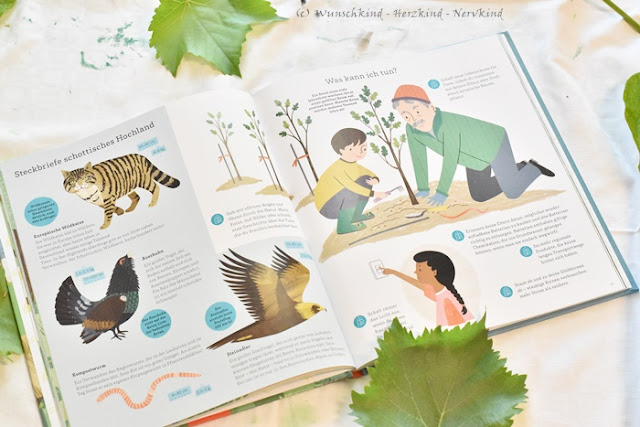 Kinderbücher über Nachhaltigkeit und Umweltschutz! Über die Wichtigkeit von Bäumen und Wälder und die Artenvielfalt. Bücher zum Nachdenken und Umdenken.