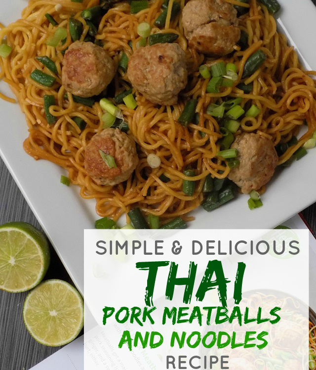 One Savvy Mom ™ NYC Area Mom Blog Simple & Delicious Thai Pork