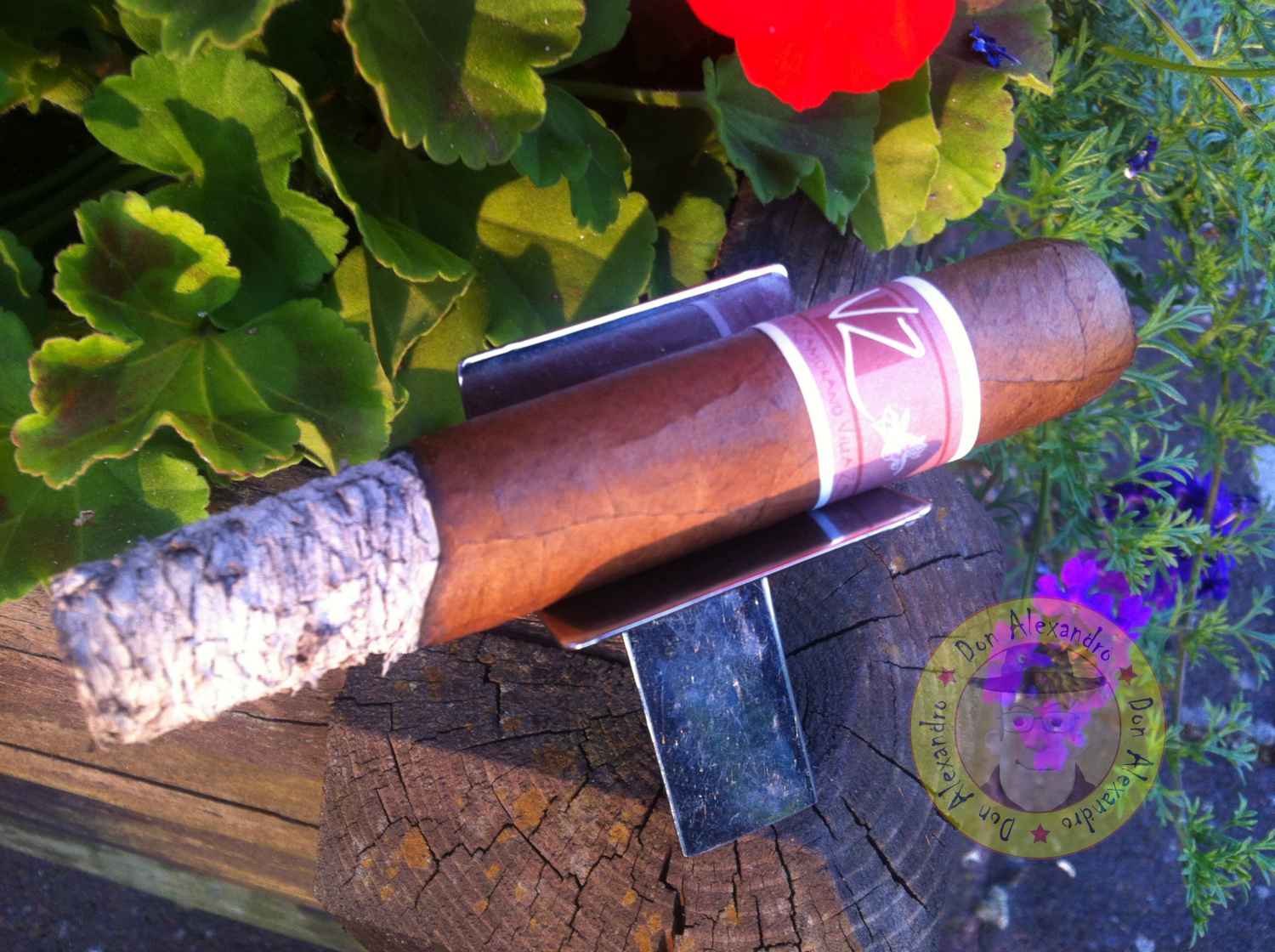 Don Alexandro s Cigar Blog Villa Zamorano Robusto