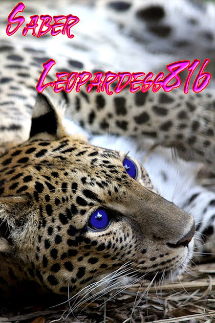 My Leopardess Gallery~