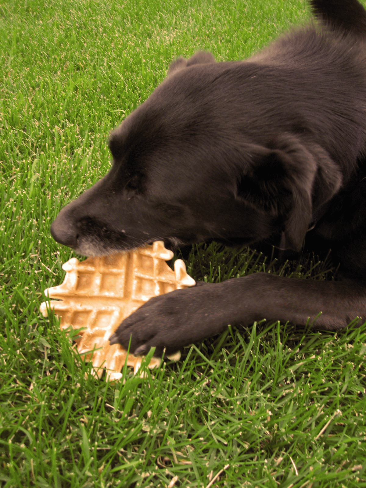 Letters. "Adventure Is Out There!"