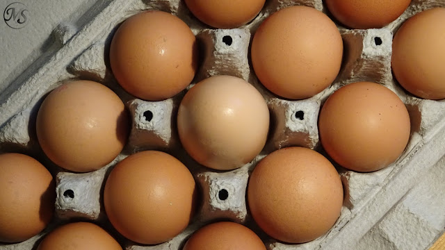 Bolti és házi tojások tojástartóban