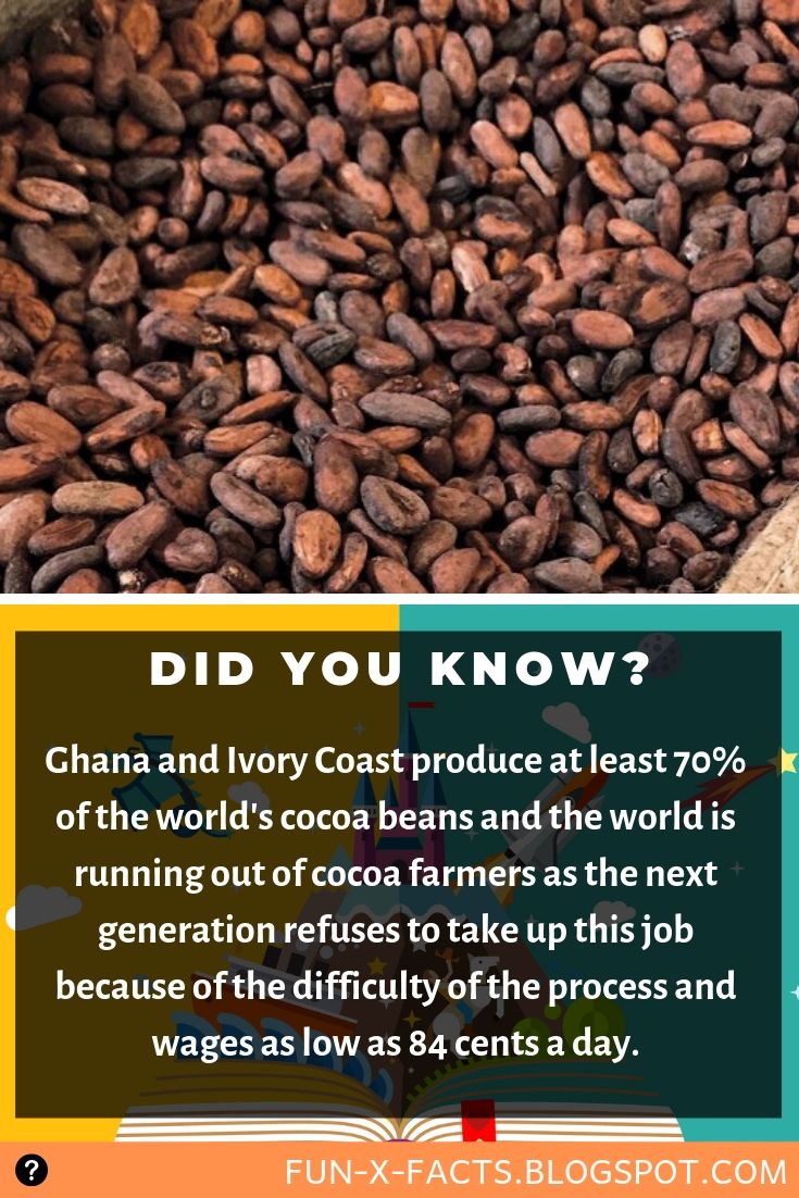 Frightening fact world is running out of cocoa farmers Amazing WTF Facts