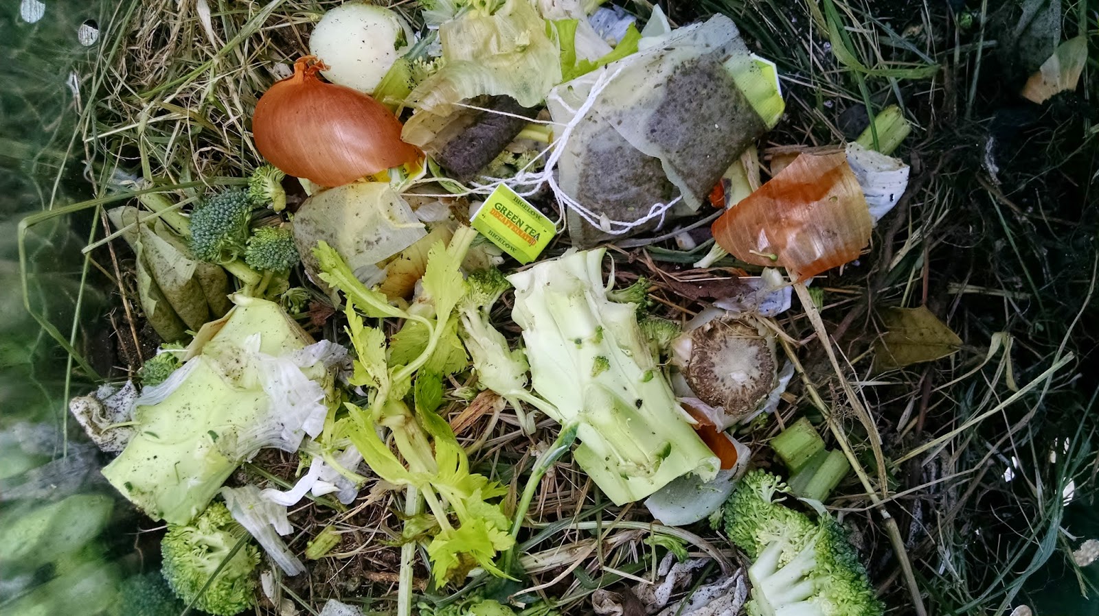 Red Hill General Store Compost your kitchen scraps in three easy steps!