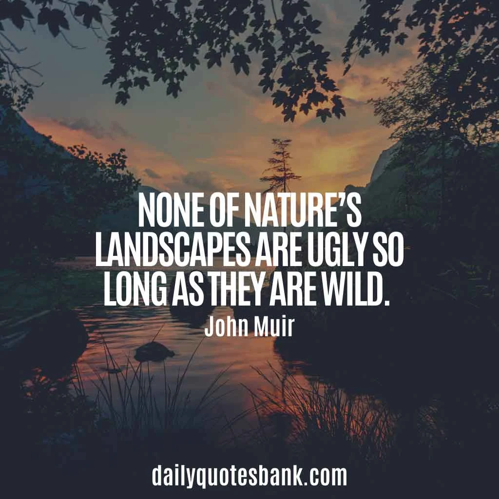John Muir Quotes About Mountains, Trees, Nature, Alaska