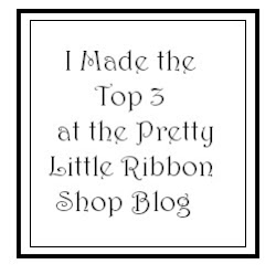 Pretty Little Ribbon Shop #17