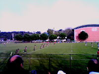 Notizie Sportive Rugby d'Eccelenza: Mantovani Lazio e Crociati Parma 34-11. Foto nostra Notizie Sportive