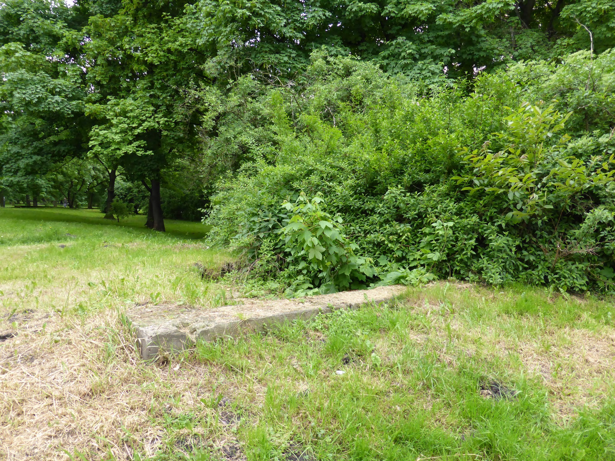 The exit from the bunker where forgotten serial killer Janusz Dziuba tried to murder future film director Roman Polanski.