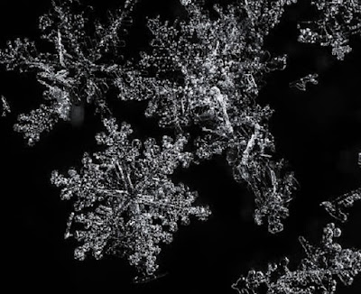 Close up of snowflakes on black paper