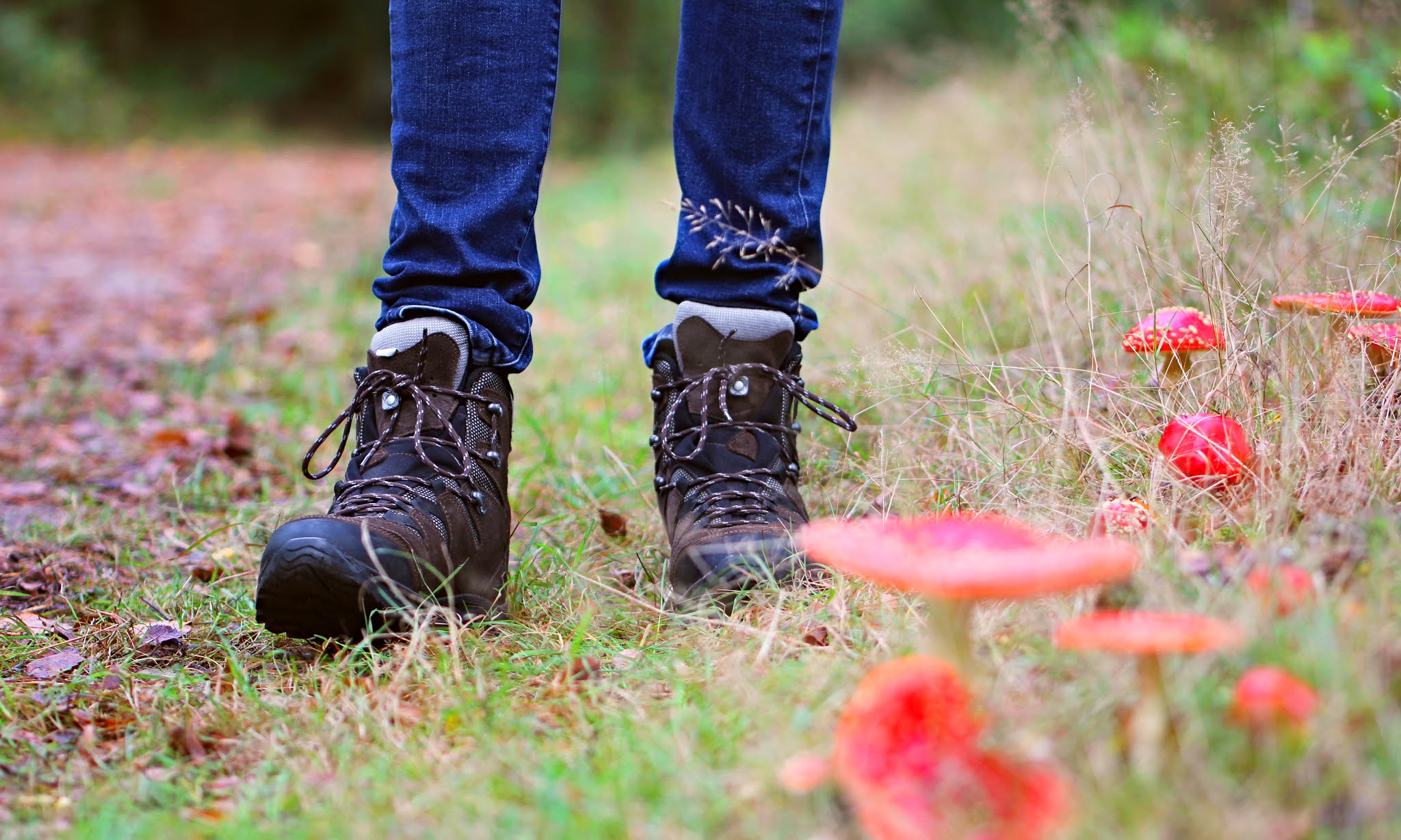 Nieuwe wandelschoenen kopen: met deze tips weet je waar je moet letten