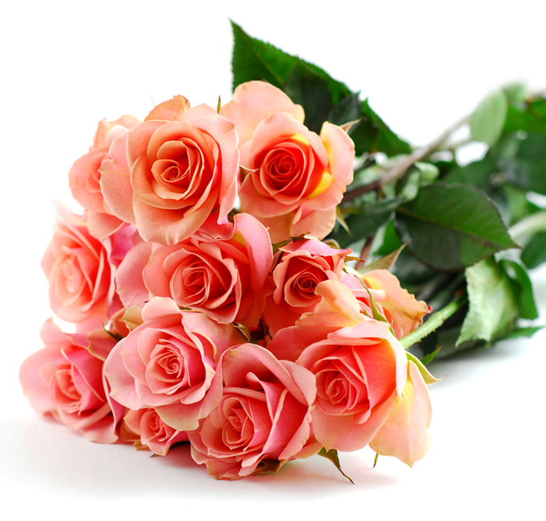 Best Online Flower Delivery Site In India May 2016