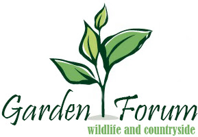 Garden Forum 1