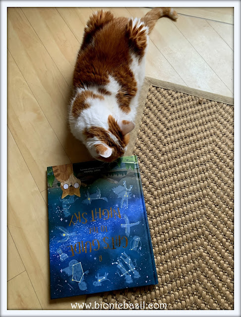 Book Reviews with Amber #152 ©BionicBasil® A Cat's Guide to the Night Sky & Amber 2021