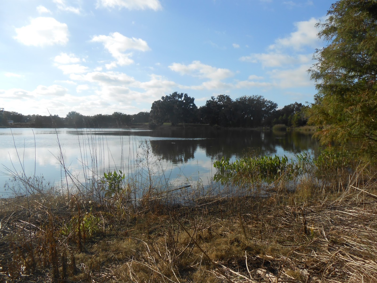 Explore Colorado Florida Vacation Lake Apopka