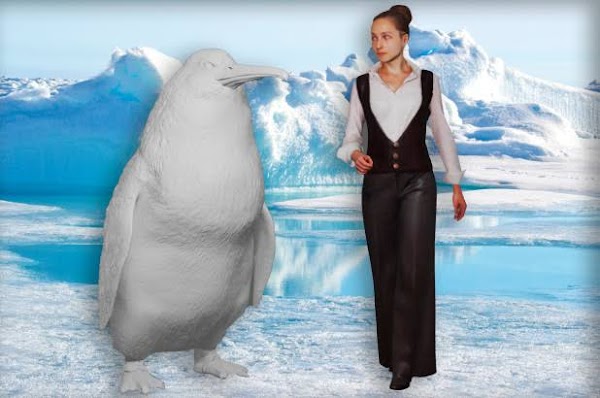 Hallan los restos de un pinguino del tamaño de un humano. Hallan los restos de un pinguino del tamaño de un humano.