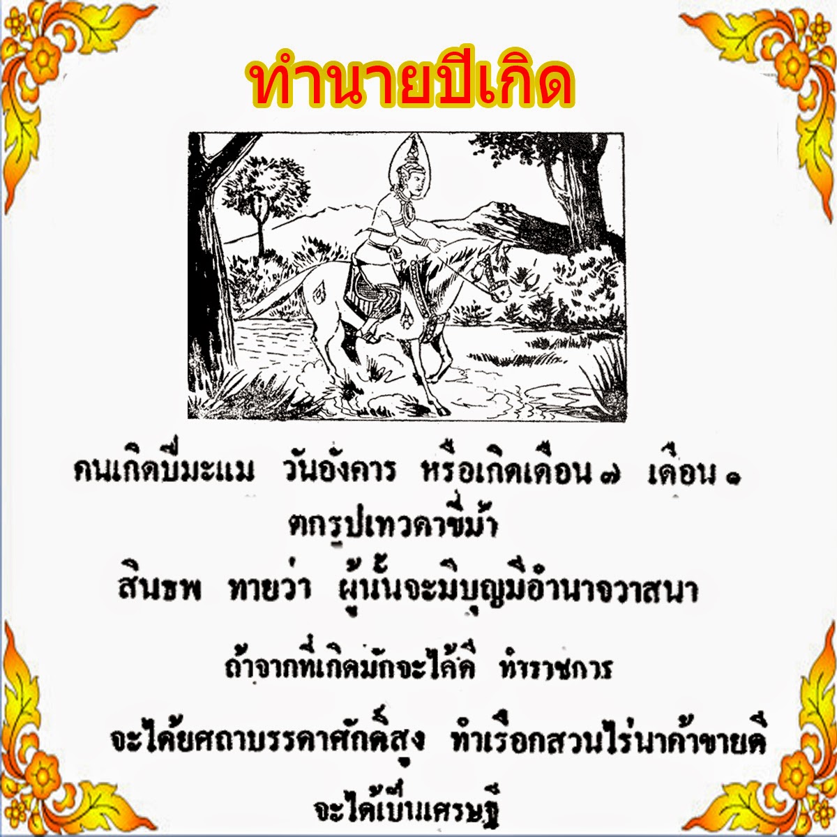 My Image 41