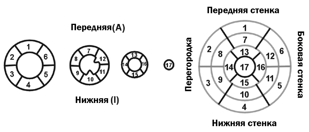 управленческий сегмент. сегменты модели этом. сегменты модели этом. иерархическая модель данных. сегменты модели этом.