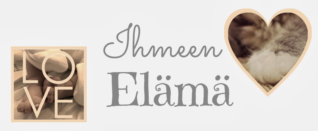 Ihmeen elämä