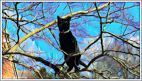 Tree Time with Sauce ©BionicBasil® Caturday Art