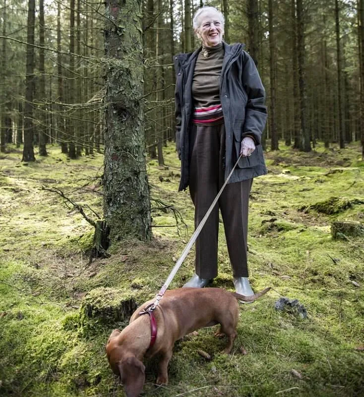 Prince Henrik's inheritance royal dog Tillia. The Royal Hunting Lodge in Trend. Crown Prince Frederik and Crown Princess Mary