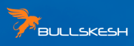Лого bullskesh.com обзор