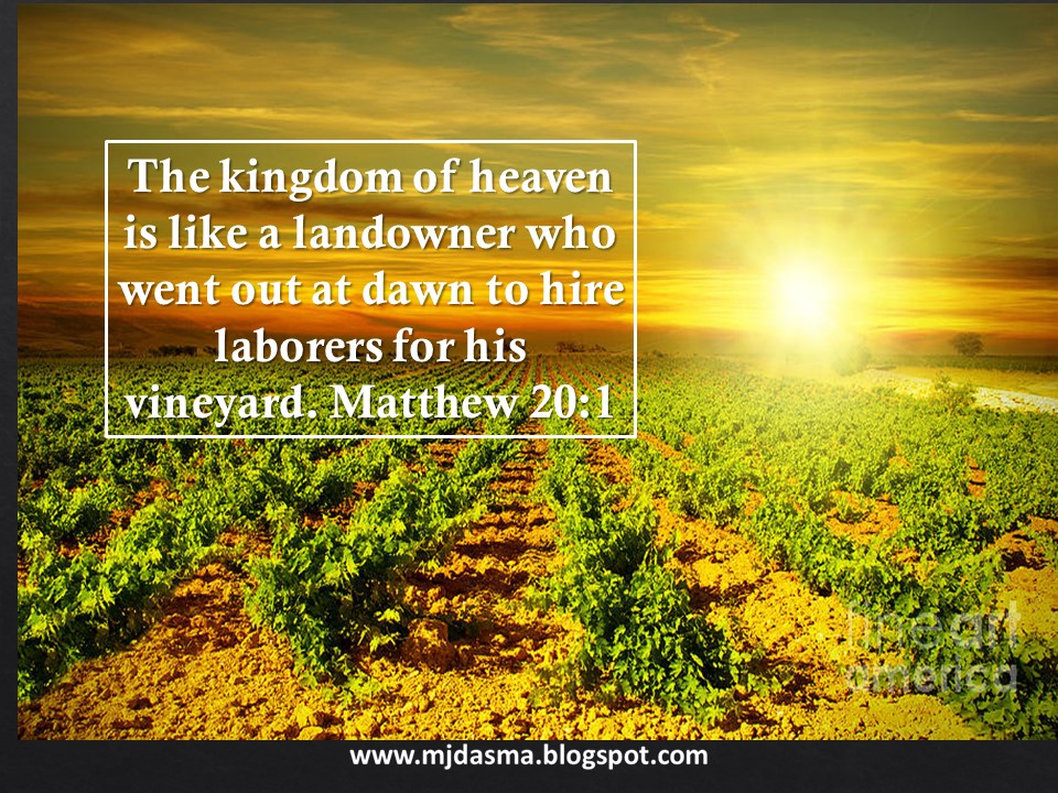 My Reflections... Reflection for Wednesday August 22, Memorial of the