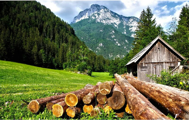 alt: = "photo showing farm barn new wood logs"