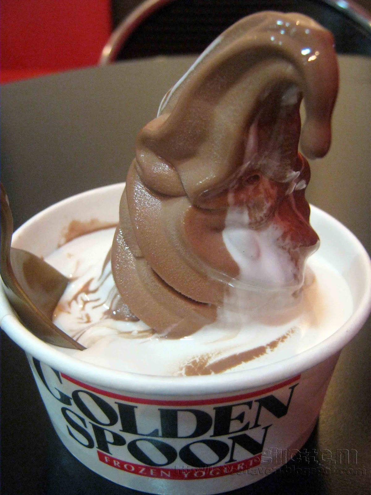 Lette's Haven Golden Spoon's Frozen Yogurt