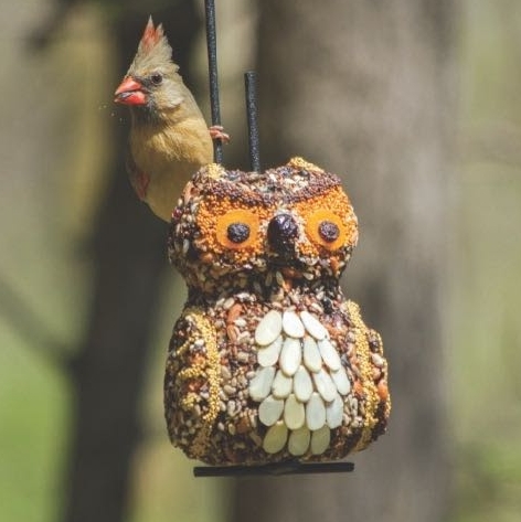 Wild Birds Unlimited: New featured creature