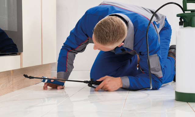 The Importance Of Professional Pest Control Services