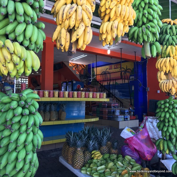 Los Kikis fruit stand near San Blas on Riviera Nayarit in Mexico Los Kikis fruit stand near San Blas on Riviera Nayarit in Mexico