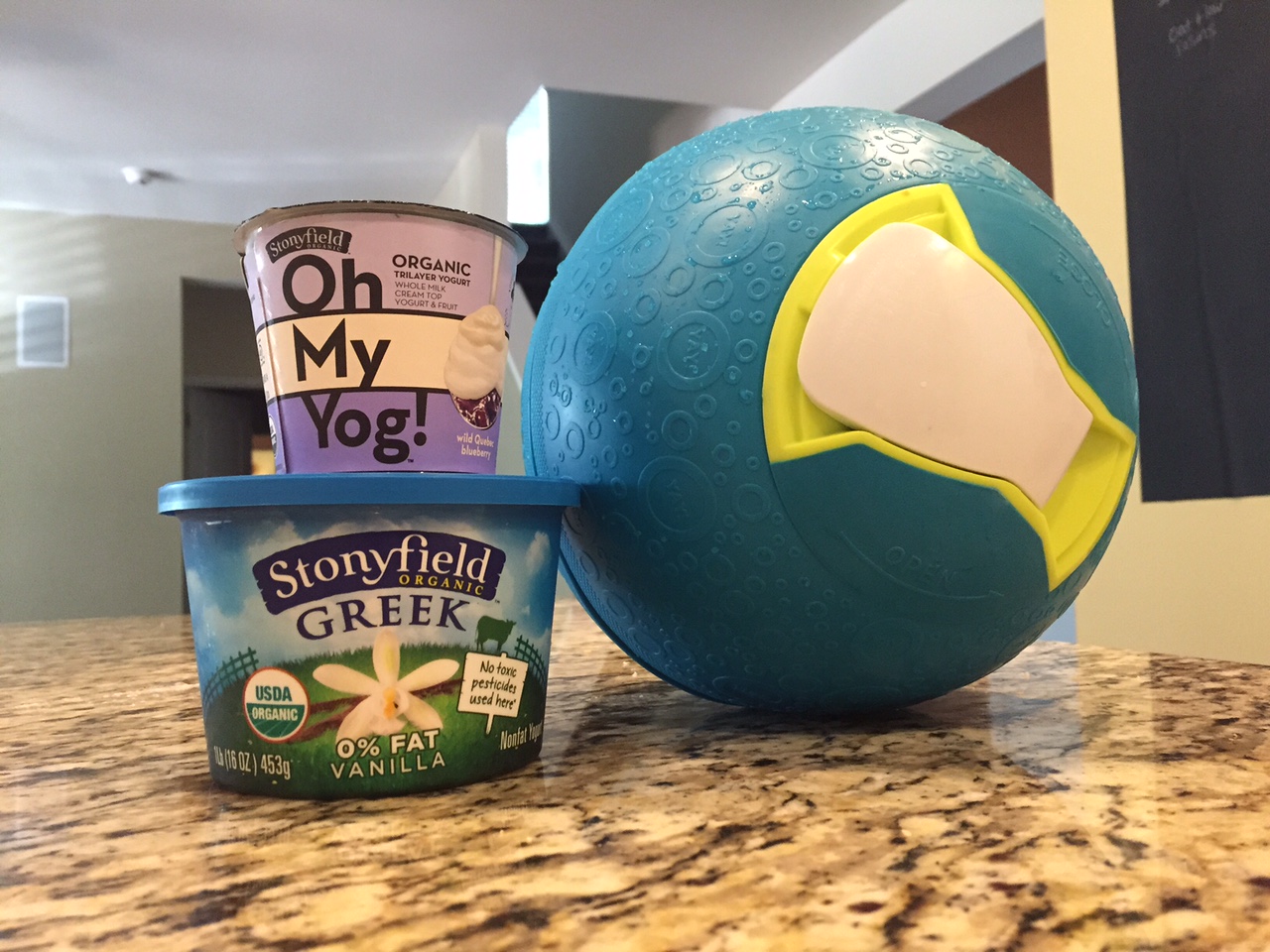 YayLabs Ice Cream Ball {Stonyfield Frozen Yogurt Recipe}