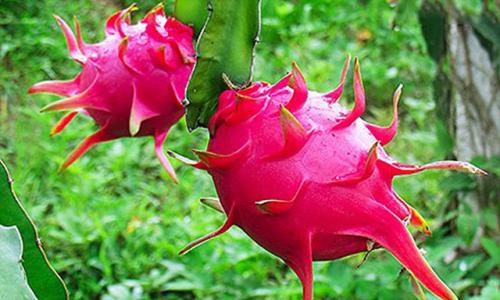 3856194a e511 4e70 930f 02bc2534476e