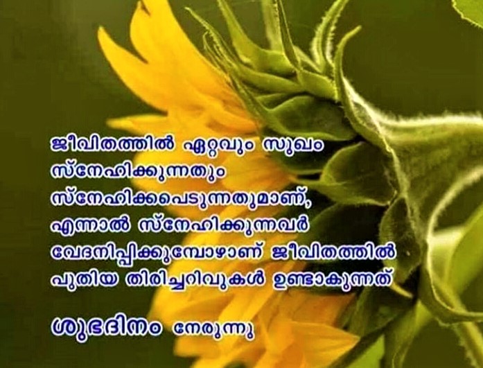 Featured image of post Good Night Images Malayalam For Friends - Good night images free download for whatsapp.