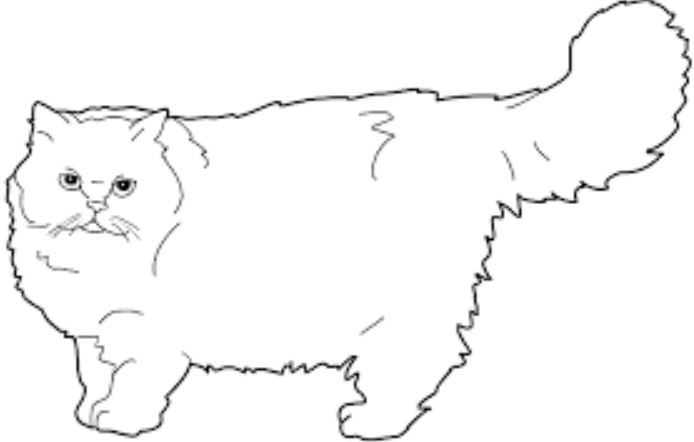 gambar mewarnai hewan kucing 