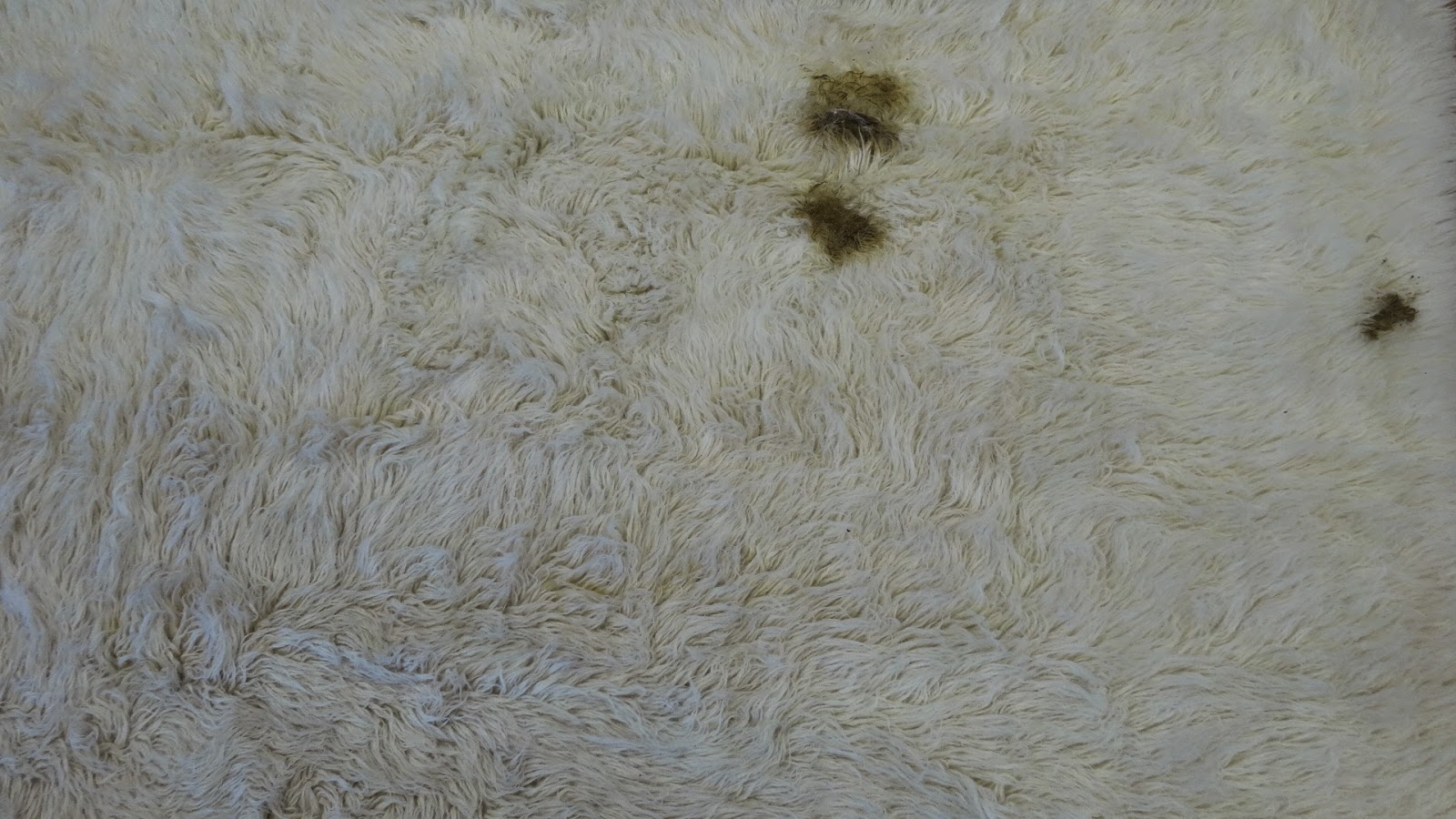 Rug Master When You Have a Dirty Wool Flokati Rug, Let Us Take Care of