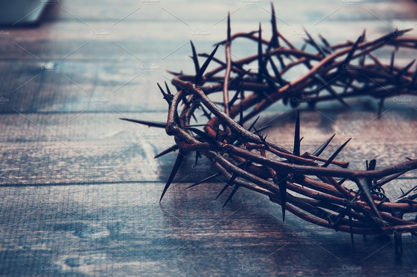 Crown of Thorns