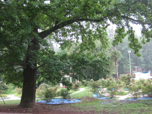 East Point, Ga The Dick Lane Velodrome