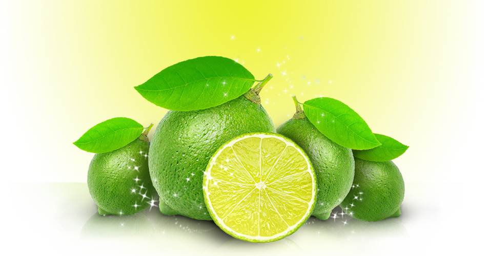 Jeruk Purut Untuk Kekebalan Tubuh Pasien Kanker Persagi Bandung