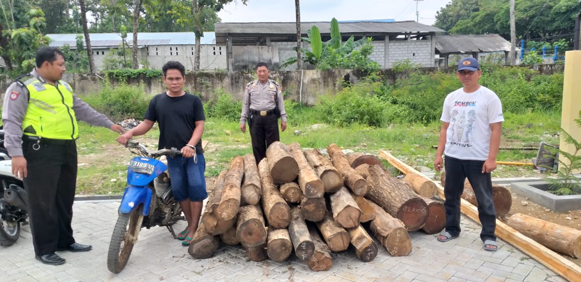 Polsek Pulung Ringkus Pembalakan Liar Sinyal Ponorogo