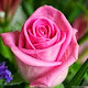My photo