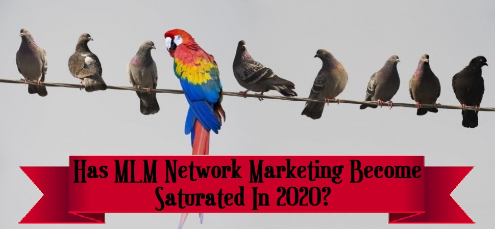 is network marketing saturated