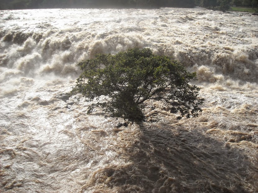 Rio Piracicaba