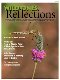 New Issue #4 of Wild Ones Reflections!