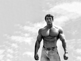 arnold-schwarzenegger